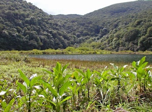 Grand Étang