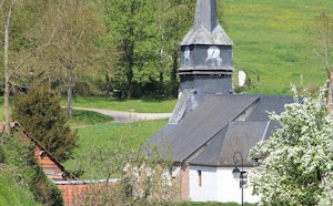 Arbre à Mouches