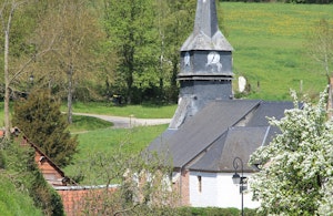 Arbre à Mouches