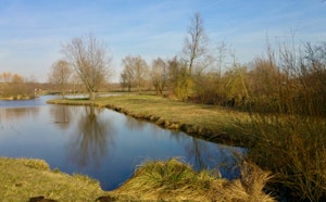Along the Somme