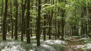 Autour de Muncq-Nieurlet