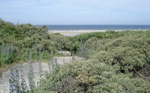 Baie de la Canche