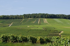 Between Brasles and Mont-Saint-Père