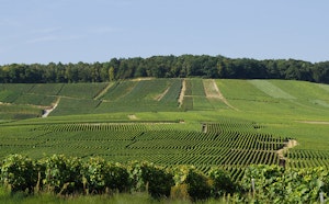 Between Brasles and Mont-Saint-Père