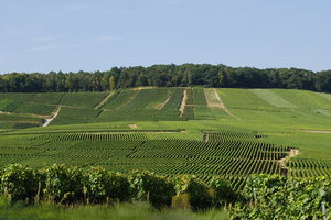 Entre Brasles et Mont-Saint-Père