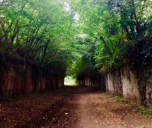 Entre Folembray et Bernagousse