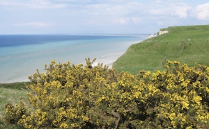 Bois de Cise from Mers-les-Bains