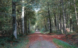 Bois de Creuse