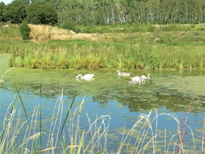 Canal de Lens