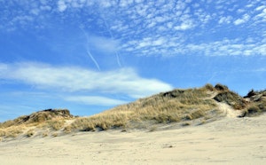 Dune Marchand