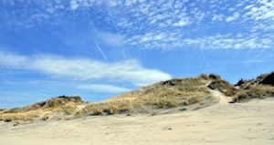 Dune Marchand