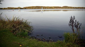 Étang Chabaud Latour