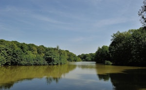 Étang d'Harchelles