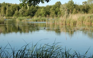 Étang de Saint-Ladre