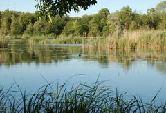 Étang de Saint-Ladre