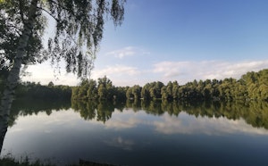 Étangs de Montplaisir