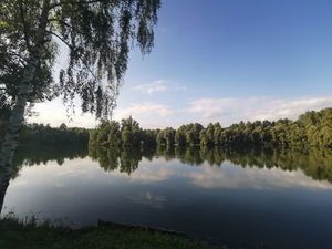 Étangs de Montplaisir