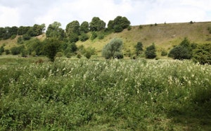 Le Passage aux Loups