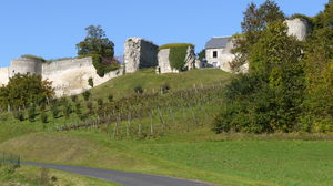 Boucle de Coucy-le-Château-Auffrique