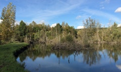Around Fontenoy