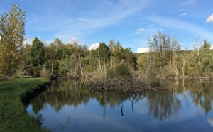 Around Fontenoy