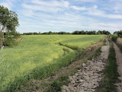 Around Saint-Erme-Outre-et-Ramecourt