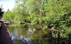 Marais d'Arleux