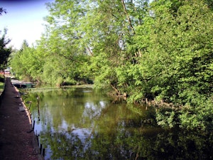 Marais d'Arleux