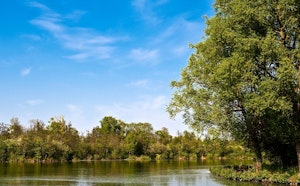 Marais d'Isle