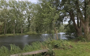 Marais de Biache-Saint-Vaast