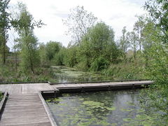Marais de Bonnance