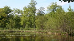 Marais de Bourneville