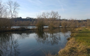 Marais de Méricourt-sur-Somme
