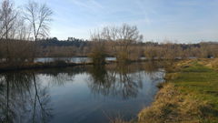 Marais de Méricourt-sur-Somme