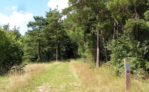 Montagne de Fignières