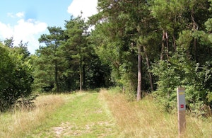 Montagne de Fignières