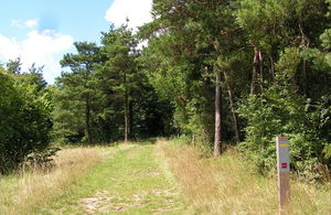Montagne de Fignières