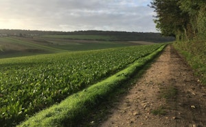Sentier de Montgardin