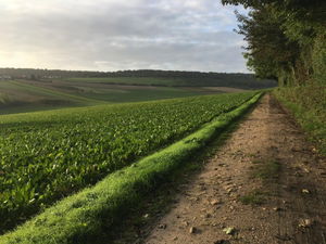 Sentier de Montgardin