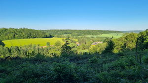 Sentier de l’étang 