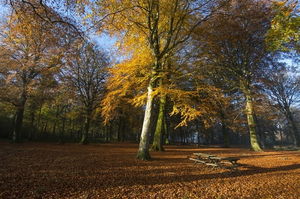 Sentier des Croisettes