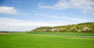 Terril de Pinchonvalles