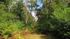 Tête Saint-Jean