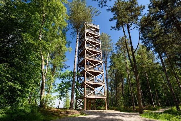 Tour d'observation du Général Mangin