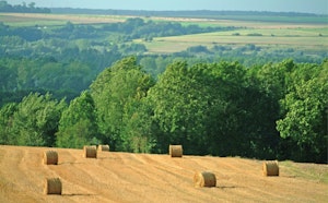 Vallée de Frosme