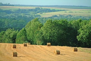 Vallée de Frosme