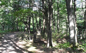 Around Dampierre-en-Yvelines