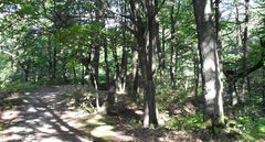 Around Dampierre-en-Yvelines