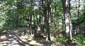 Autour de Dampierre-en-Yvelines