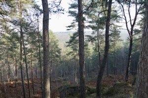 Around Veneux-les-Sablons